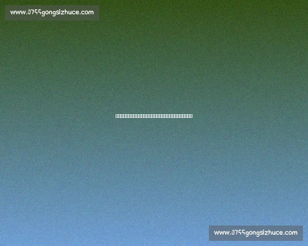 巅峰对决再回首李娜与阿扎伦卡的时代交锋与传奇瞬间网坛风云记忆